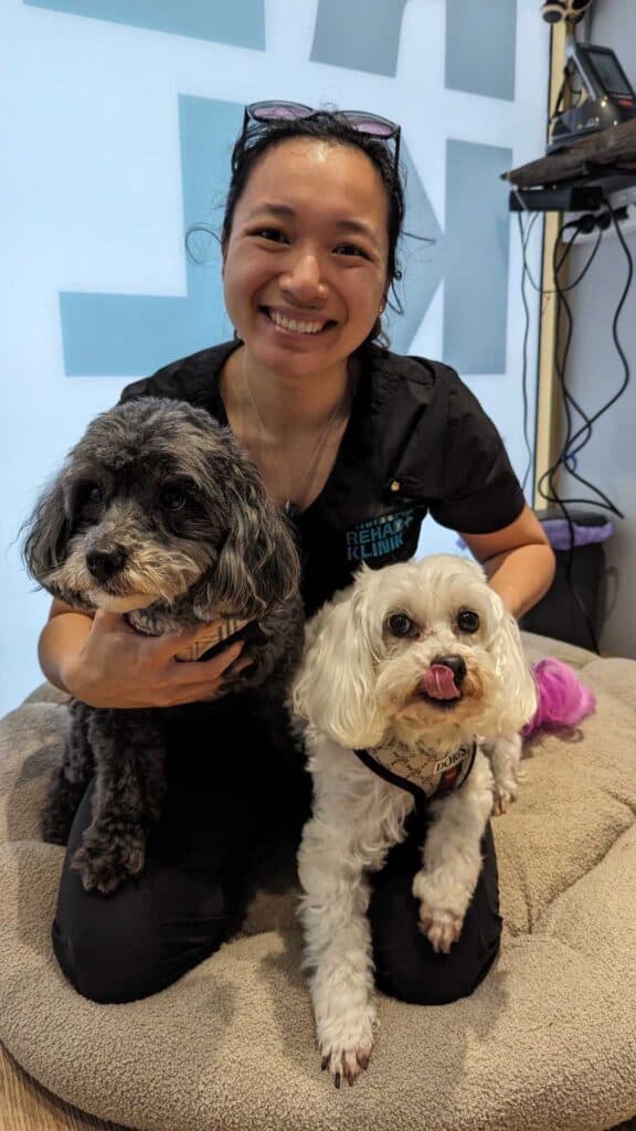 Physiotherapist for dogs at Animal Rehab Klinik