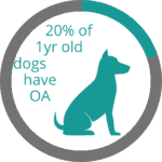 20% of one-year-old dogs have osteoarthritis.