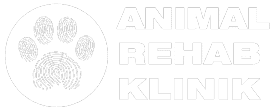 White ARK Logo