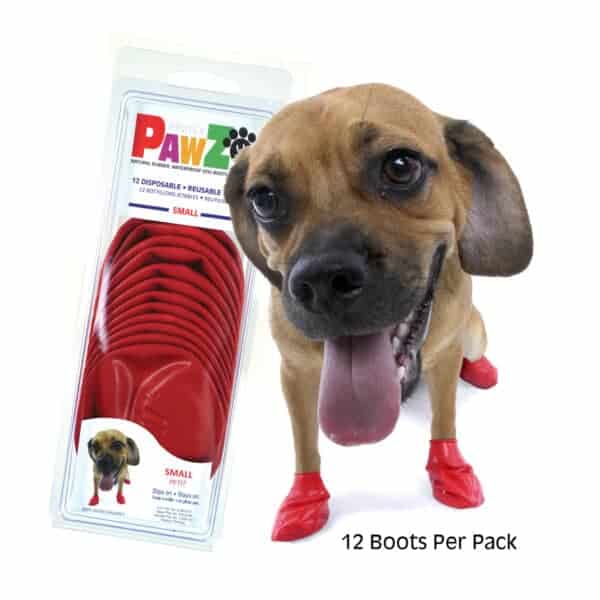 Cute dog with red gloves