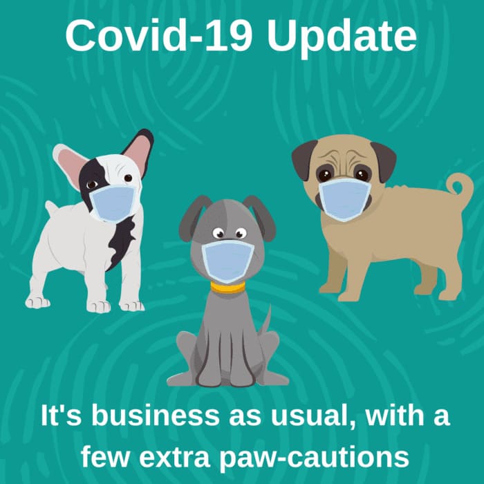 Infographic about Covid 19 Update - Sydney Lockdown June 21