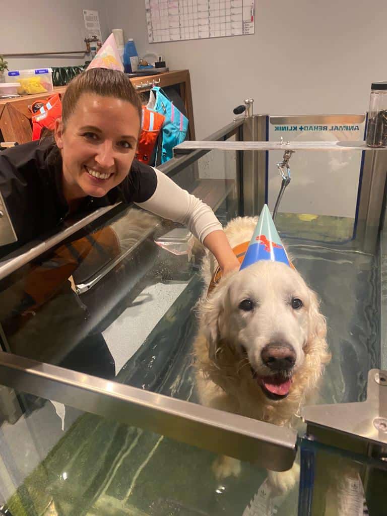 Happy Birthday to our golden retriever patient!