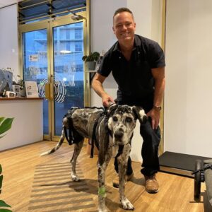 Frankie showing off help em up harness