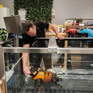 French Bulldog with IVDD doing Water Treadmill at Animal Rehab Klinik